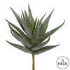 6.5" Aloe Vera Pick 3/pk - view 4 of 4