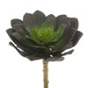 Vickerman Artificial Echeveria Pick - view 1 of 4