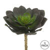 Vickerman Artificial Echeveria Pick - view 4 of 4