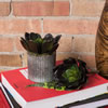 Vickerman Artificial Echeveria Pick - view 2 of 4