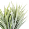 Vickerman 5" Artificial Green and White Seneco  - view 5 of 5