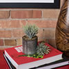 Vickerman 5" Artificial Green and White Seneco  - view 2 of 5