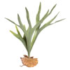 Vickerman Artificial Staghorn Fern - view 1 of 3