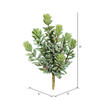 8" Sedum Pick 3/pk - view 7 of 7