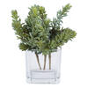 8" Sedum Pick 3/pk - view 5 of 7