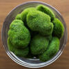 Moss Rocks Bag of 36 Assorted - view 2 of 4