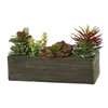 5.25" Succulent Arrangement - view 1 of 4