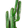 Vickerman Artificial Potted Finger Cactus - view 3 of 5