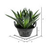 7.5" Green Succulent in Galvanized Pot - view 2 of 2