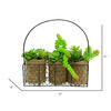 11" Asst Succulents in Galvanized Hanger - view 2 of 2