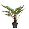 Vickerman Artificial Potted Fern - view 1 of 5