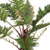 Vickerman Artificial Potted Fern - view 2 of 5