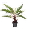 Vickerman Artificial Potted Fern - view 4 of 5