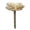 5" Green Succulent Pick 4/pk - view 1 of 7