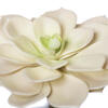 5" Green Succulent Pick 4/pk - view 3 of 7