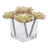 5" Green Succulent Pick 4/pk - view 6 of 7