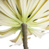 5.5" Green Succulent Pick 3/pk - view 5 of 7