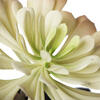 5.5" Green Succulent Pick 3/pk - view 3 of 7