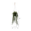 22" Green Grass Plant in Hanger Pot - view 2 of 2