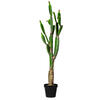 Vickerman Artificial Prickly Pear Cactus - view 1 of 6