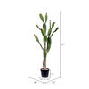 Vickerman Artificial Prickly Pear Cactus - view 3 of 6