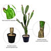 Vickerman Artificial Prickly Pear Cactus - view 6 of 6