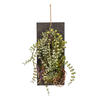 25" Green Mixed Plants on Wooden Plaque - view 1 of 5