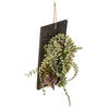 25" Green Mixed Plants on Wooden Plaque - view 4 of 5