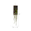 25" Green Mixed Plants on Wooden Plaque - view 2 of 5