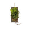 24" Green Mini Leaf on Wooden Plaque - view 1 of 5