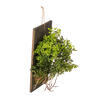 24" Green Mini Leaf on Wooden Plaque - view 4 of 5