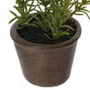 7" Green Potted Herbs Assort 3/pk - view 4 of 8