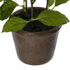 7" Green Potted Herbs Assort 3/pk - view 5 of 8