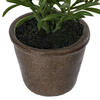 7" Green Potted Herbs Assort 3/pk - view 6 of 8
