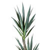 Vickerman Artificial Green Yucca Tree - view 3 of 6