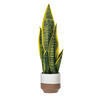 20.5" Green/Yellow Snake Plant Ceramic - view 1 of 4