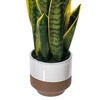 20.5" Green/Yellow Snake Plant Ceramic - view 3 of 4