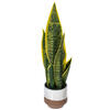 20.5" Green/Yellow Snake Plant Ceramic - view 4 of 4