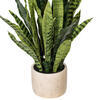28" Green Snake Plant in Gray Cement Pot - view 3 of 3