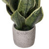18" Green Snake Plant in Cement Pot - view 3 of 4