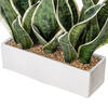 15" Green Snake Plant White Cement Pot - view 3 of 3