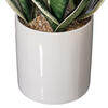 25" Green Snake Plant in Ceramic Pot - view 3 of 3