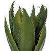 Vickerman Artificial Green Aloe Vera Pick, 3 per Bag. - view 2 of 4