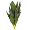 Vickerman Artificial Green Aloe Vera Pick, 3 per Bag. - view 4 of 4