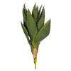 Vickerman Artificial Green Aloe Vera Pick, 2 per Bag. - view 1 of 3