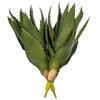 Vickerman Artificial Green Aloe Vera Pick, 2 per Bag. - view 3 of 3