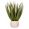 19.5" Green Aloe Plant in Cement Pot - view 1 of 4