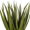 19.5" Green Aloe Plant in Cement Pot - view 2 of 4