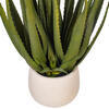 19.5" Green Aloe Plant in Cement Pot - view 3 of 4