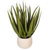19.5" Green Aloe Plant in Cement Pot - view 4 of 4